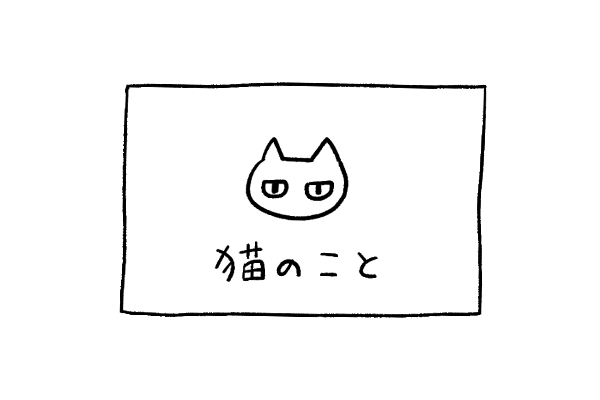 猫のこと